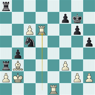 Tringov_Rodriguez_jug_33