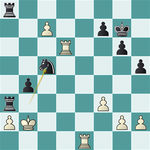 Tringov_Rodriguez_jug_34