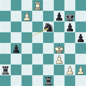 Tringov_Rodriguez_jug_39